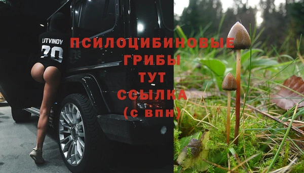 гидра Нефтегорск