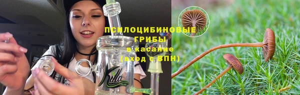 гидра Нефтегорск