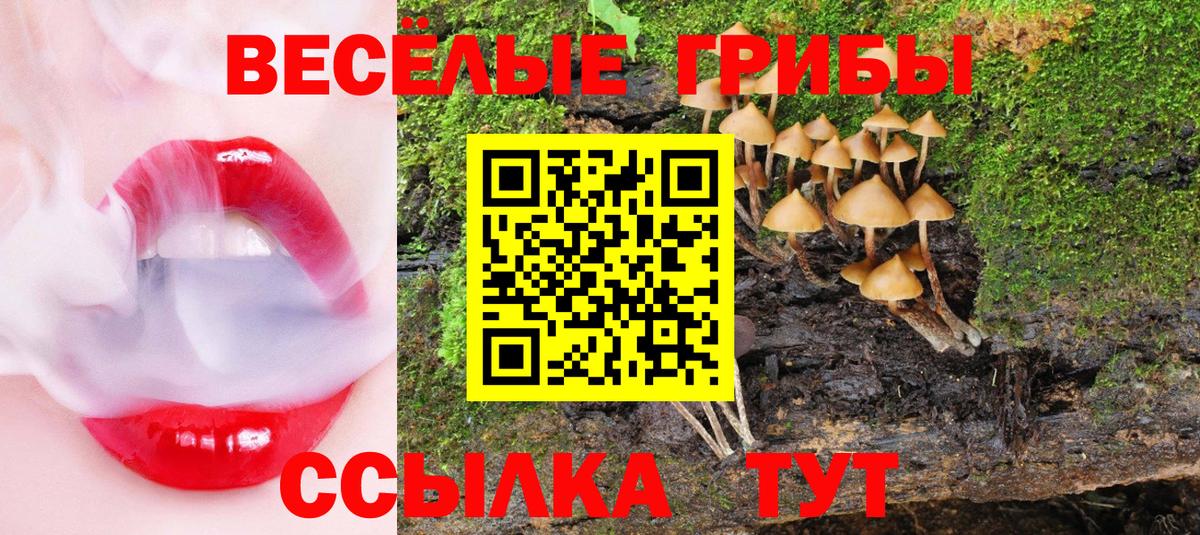 Галлюциногенные грибы мухоморы  Вход с VPN  Одинцово  Псилоцибиновые грибы Magic Shrooms 