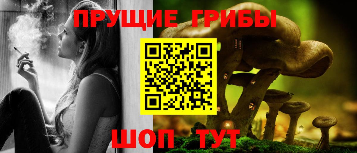 Псилоцибиновые грибы GOLDEN TEACHER Одинцово